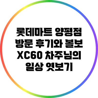 롯데마트 양평점 방문 후기와 볼보 XC60 차주님의 일상 엿보기