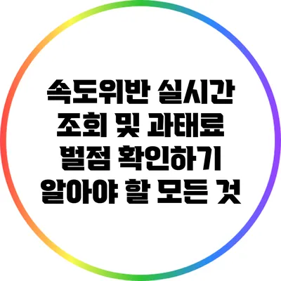 속도위반 실시간 조회 및 과태료 벌점 확인하기: 알아야 할 모든 것