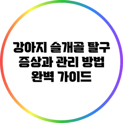 강아지 슬개골 탈구: 증상과 관리 방법 완벽 가이드