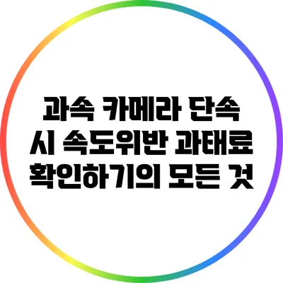 과속 카메라 단속 시 속도위반 과태료 확인하기의 모든 것