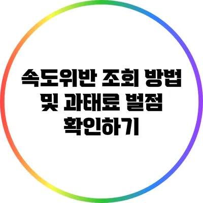 속도위반 조회 방법 및 과태료 벌점 확인하기