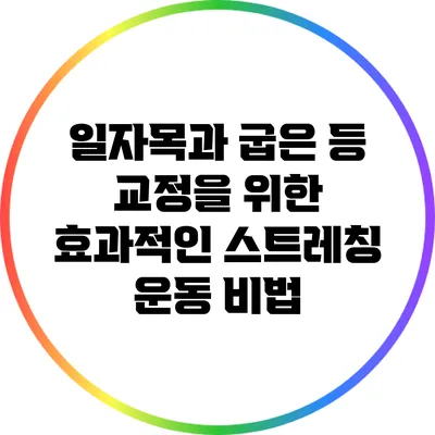 일자목과 굽은 등 교정을 위한 효과적인 스트레칭 운동 비법