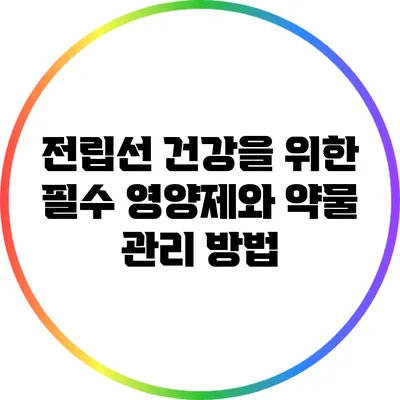 전립선 건강을 위한 필수 영양제와 약물 관리 방법