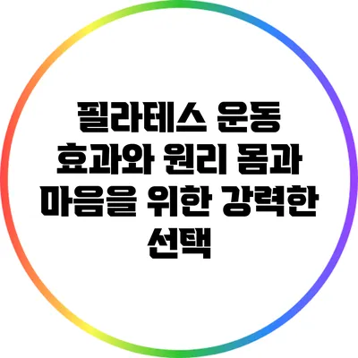 필라테스 운동 효과와 원리: 몸과 마음을 위한 강력한 선택