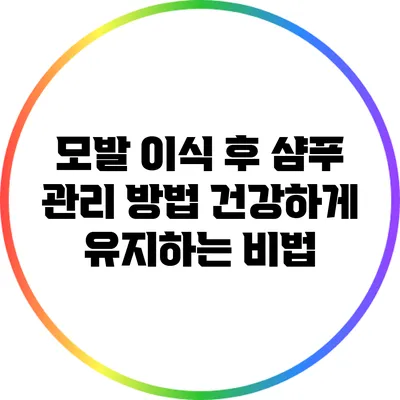 모발 이식 후 샴푸 관리 방법: 건강하게 유지하는 비법