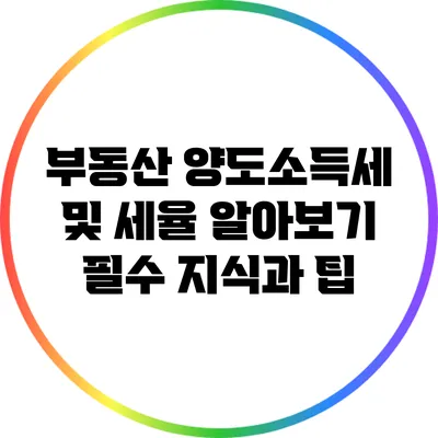 부동산 양도소득세 및 세율 알아보기: 필수 지식과 팁