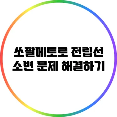 쏘팔메토로 전립선 소변 문제 해결하기