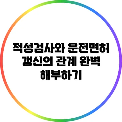 적성검사와 운전면허 갱신의 관계 완벽 해부하기