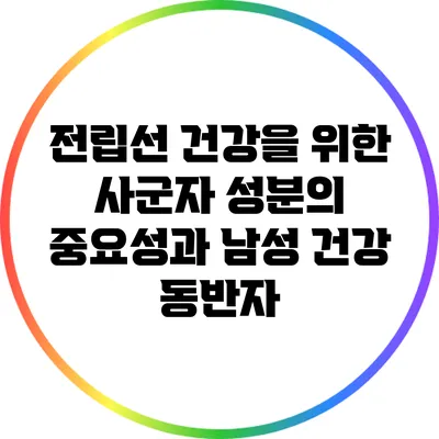 전립선 건강을 위한 사군자 성분의 중요성과 남성 건강 동반자