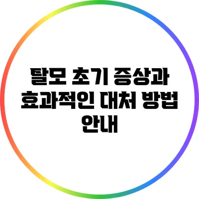 탈모 초기 증상과 효과적인 대처 방법 안내