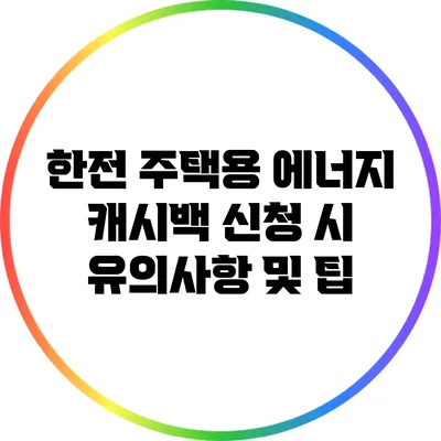 한전 주택용 에너지 캐시백 신청 시 유의사항 및 팁