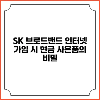 SK 브로드밴드 인터넷 가입 시 현금 사은품의 비밀