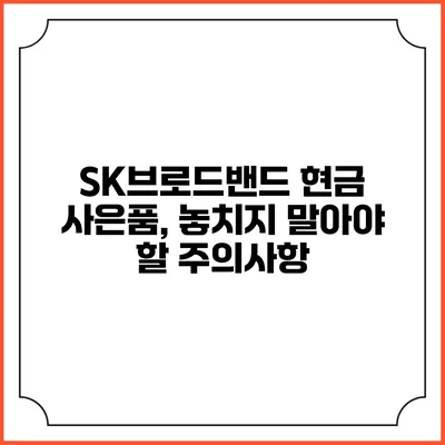 SK브로드밴드 현금 사은품, 놓치지 말아야 할 주의사항