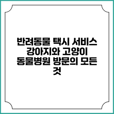 반려동물 택시 서비스: 강아지와 고양이 동물병원 방문의 모든 것