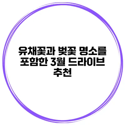 유채꽃과 벚꽃 명소를 포함한 3월 드라이브 추천