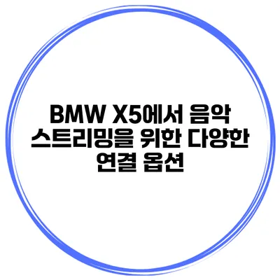BMW X5에서 음악 스트리밍을 위한 다양한 연결 옵션