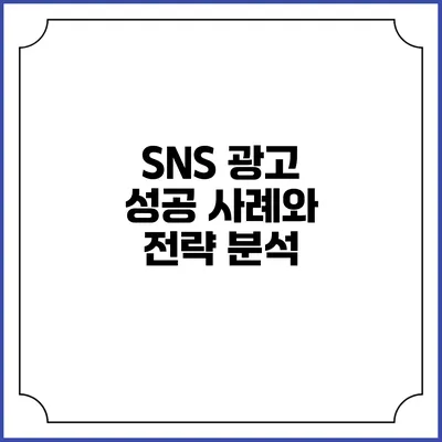 SNS 광고 성공 사례와 전략 분석