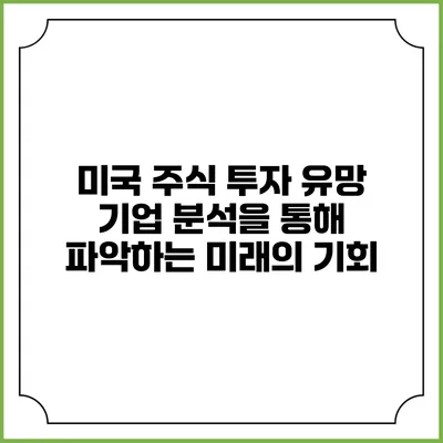 미국 주식 투자: 유망 기업 분석을 통해 파악하는 미래의 기회