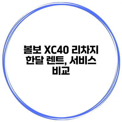 볼보 XC40 리차지 한달 렌트, 서비스 비교