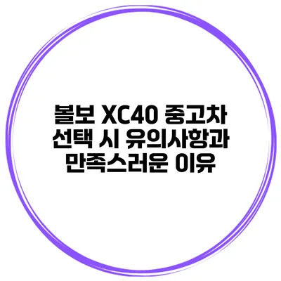 볼보 XC40 중고차 선택 시 유의사항과 만족스러운 이유