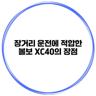 장거리 운전에 적합한 볼보 XC40의 장점