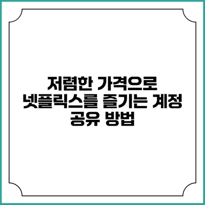 저렴한 가격으로 넷플릭스를 즐기는 계정 공유 방법