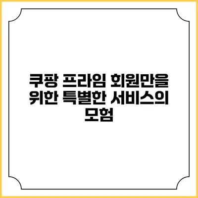 쿠팡 프라임 회원만을 위한 특별한 서비스의 모험